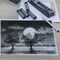Vine Charcoal Sticks, 18-20 MM Jumbo Vine Charcoal Pencils for Artists, Beginners, 4 Pcs Natural Charcoal Stick for Sketching, Drawing, and Shading